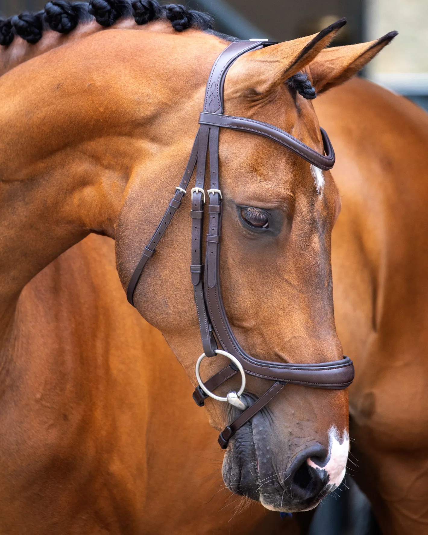 SHIRES EQUESTRIAN Velociti Lusso Ergonomic Curved Flash Bridle