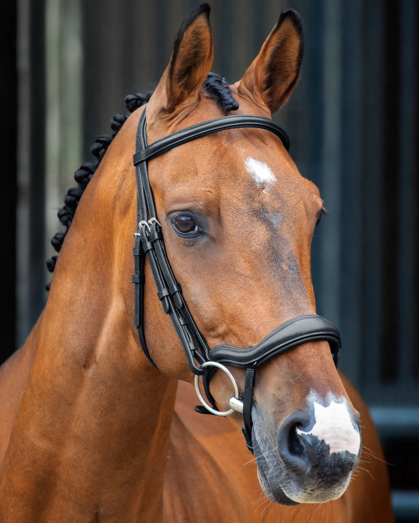 SHIRES EQUESTRIAN Velociti Lusso Ergonomic Flash Bridle