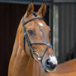 SHIRES EQUESTRIAN Velociti Lusso Grackle Bridle