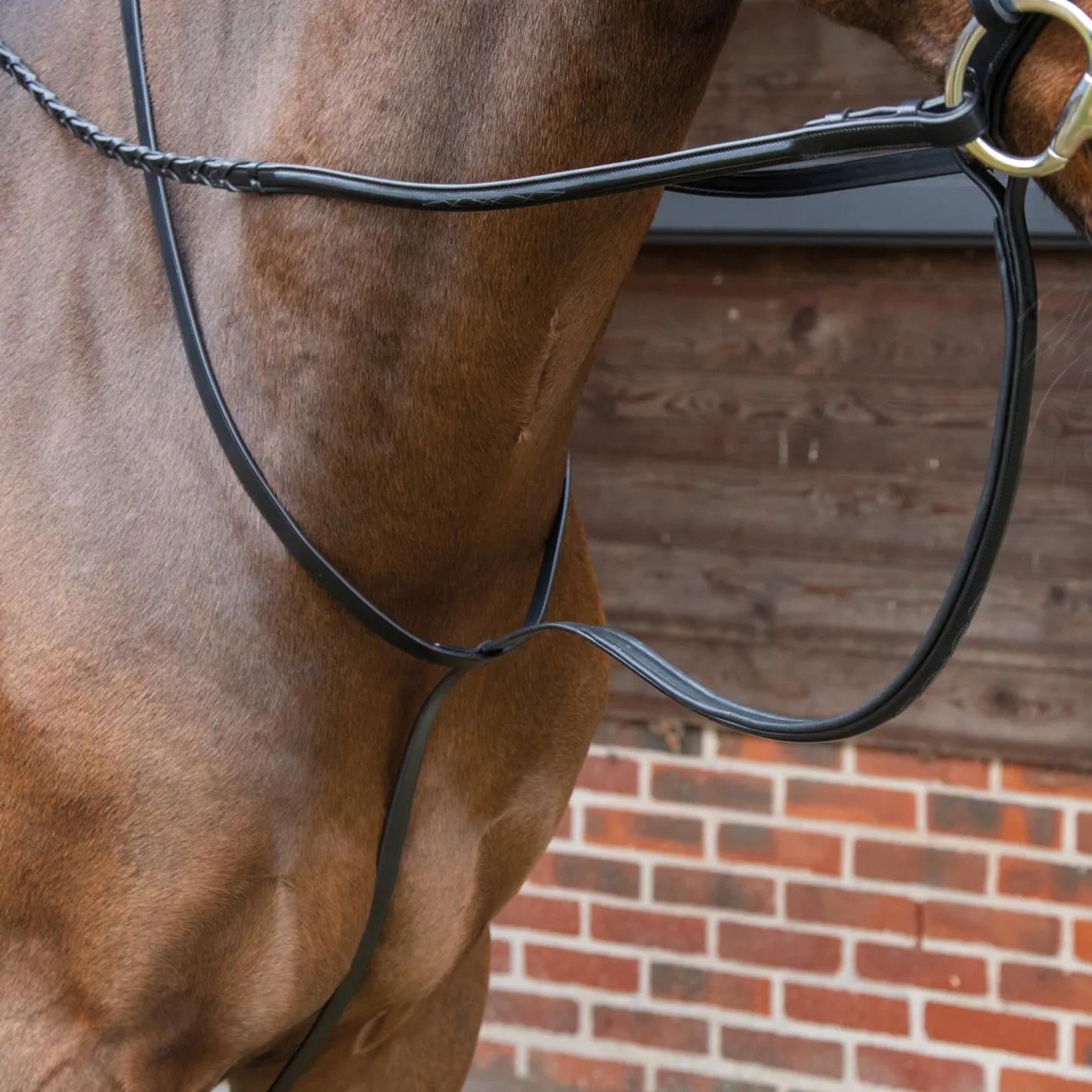SHIRES EQUESTRIAN Velociti Lusso Standing Martingale