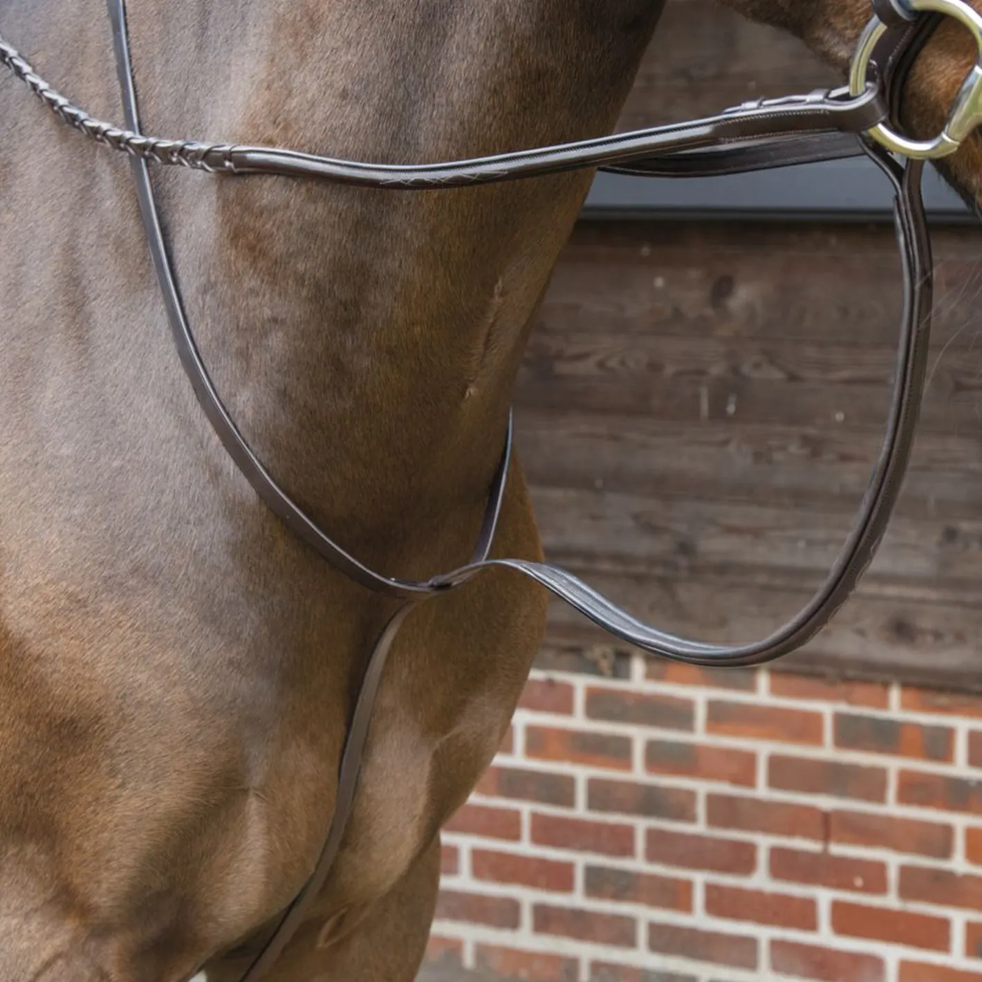 SHIRES EQUESTRIAN Velociti Lusso Standing Martingale