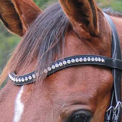 WORLD EQUSTRN BRNDS Veritas by Vespucci Contoured Browband with Swarovski® Crystals