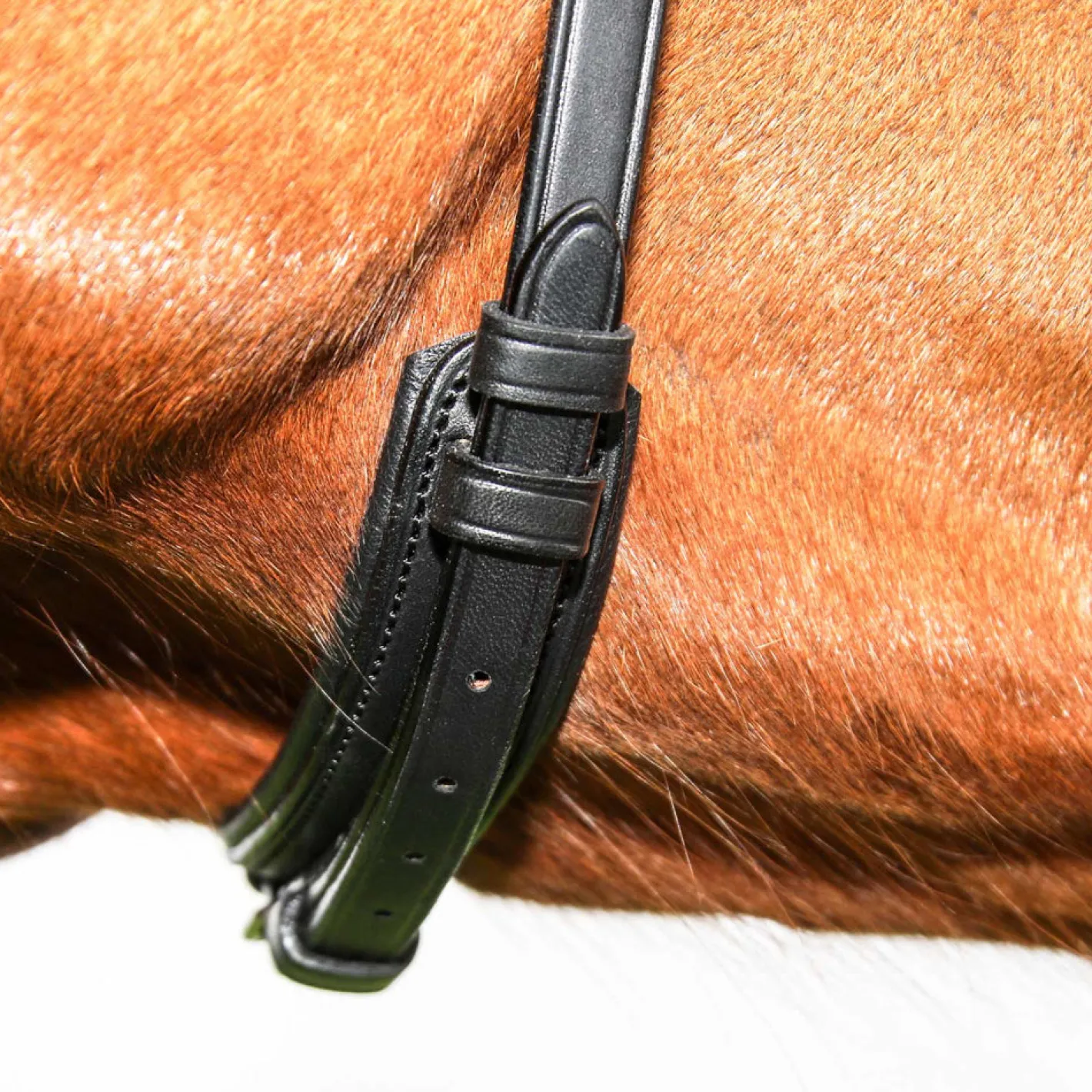 WORLD EQUSTRN BRNDS Vespucci Classic Dressage Bridle