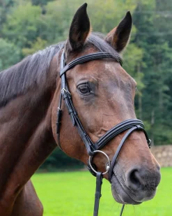 WORLD EQUSTRN BRNDS Vespucci Dressage Double Raised Snaffle Bridle