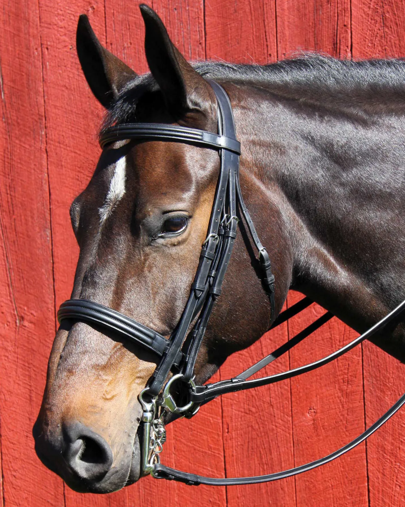 WORLD EQUSTRN BRNDS Vespucci Dressage Double Raised Weymouth Bridle