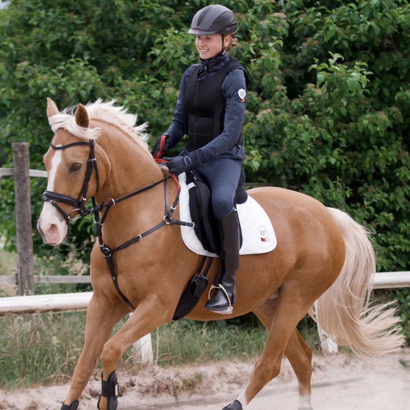 WALDHAUSEN Secutrust Breastplate with Safety Reins