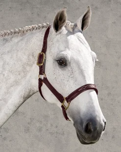 WALSH PRODUCTS Walsh™ Signature Padded Halter