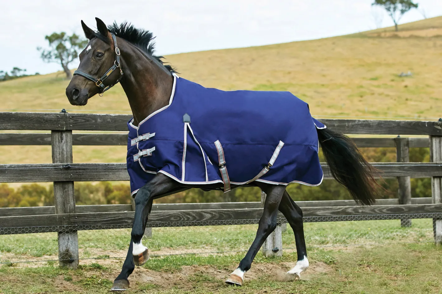 WEATHERBEETA ® ComFiTec™ Essential Solid Medium Weight Turnout Blanket