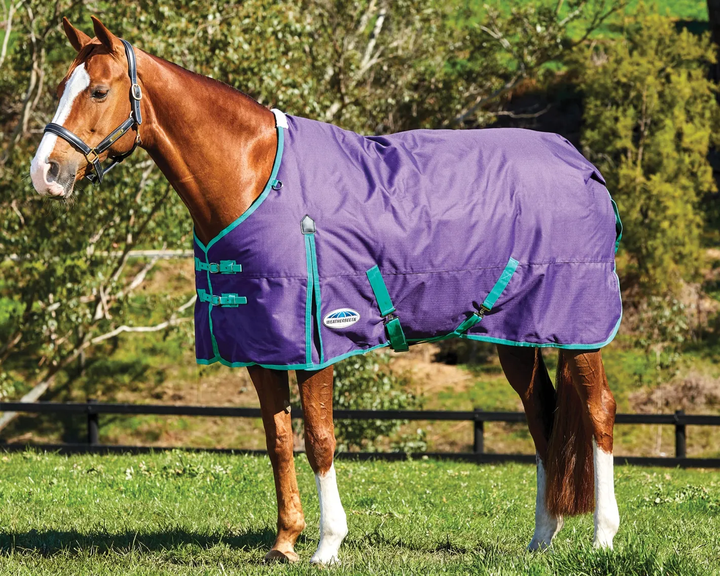 WEATHERBEETA ® ComFiTec™ Essential Solid Medium Weight Turnout Blanket