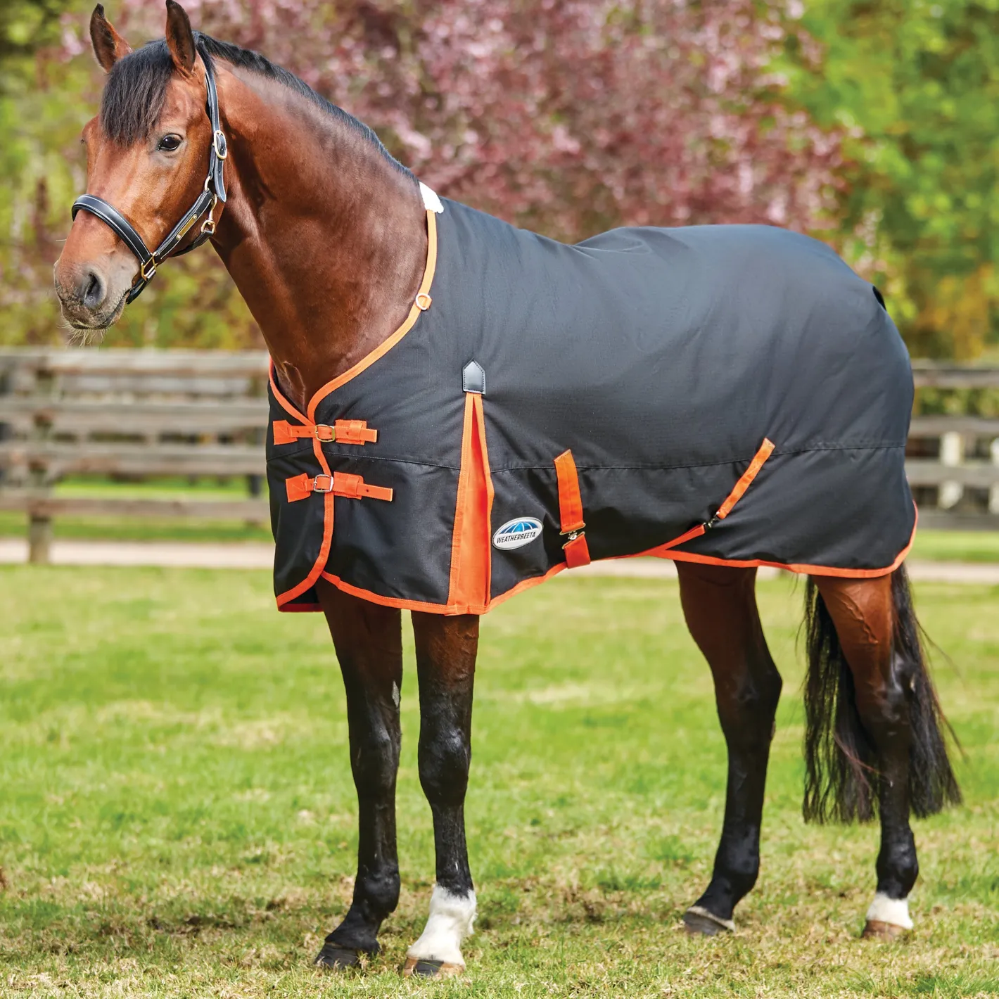 WEATHERBEETA ® ComFiTec™ Essential Solid Medium Weight Turnout Blanket