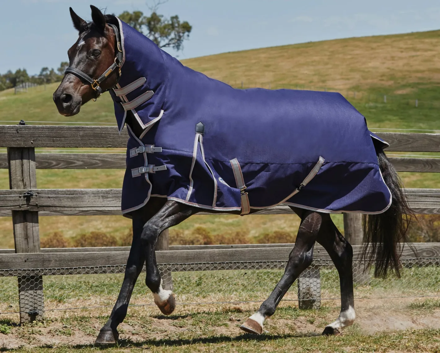 WEATHERBEETA ® ComFiTec™ Essential Combo Neck Medium-Weight Turnout Blanket