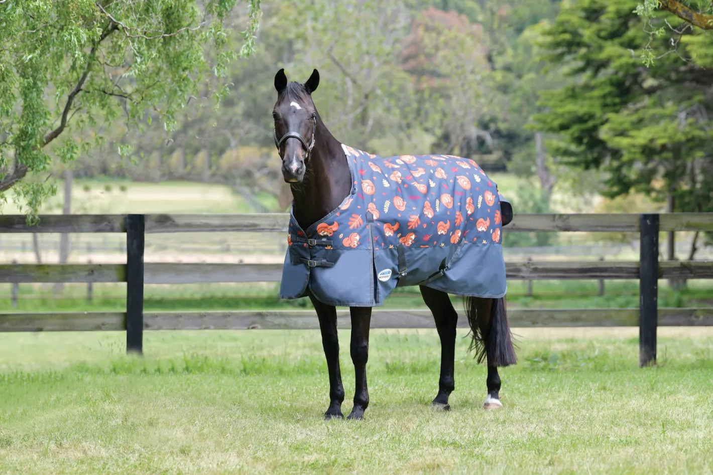 WEATHERBEETA ® ComFiTec™ Essential Standard Neck Medium-Weight Turnout Blanket