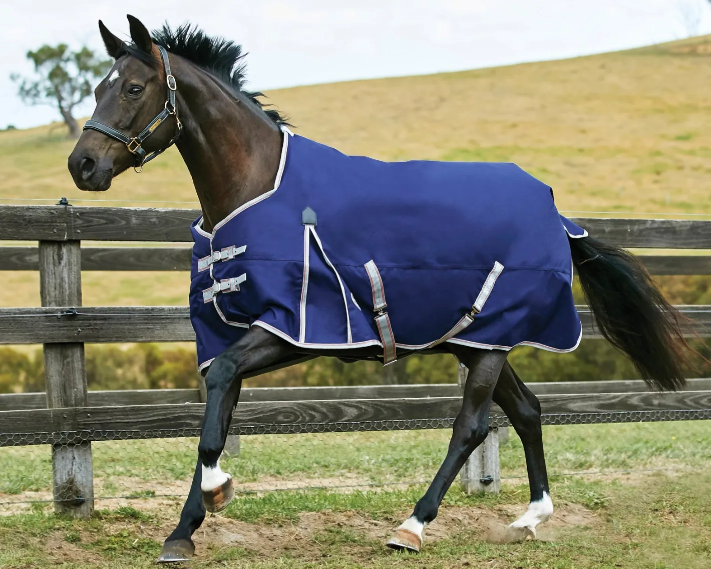 WEATHERBEETA ® ComFiTec™ Essential Solid Turnout Sheet