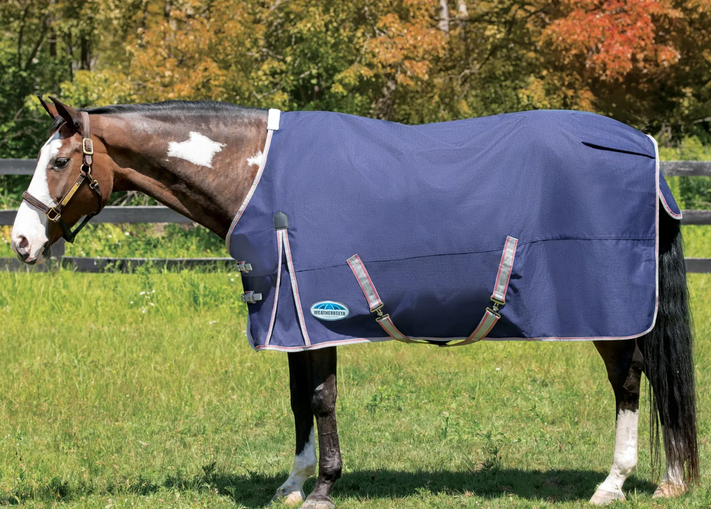 WEATHERBEETA ® ComFiTec™ Essential Solid Turnout Sheet