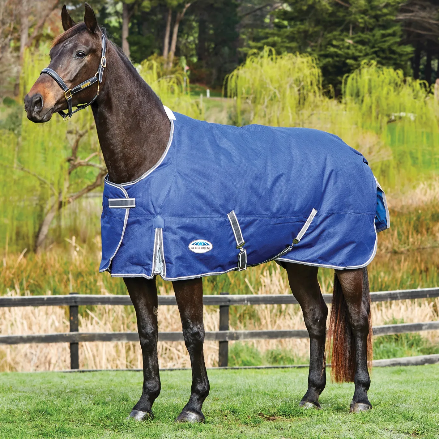WEATHERBEETA ® ComFiTec™ Free Standard Neck Medium Weight Turnout Blanket