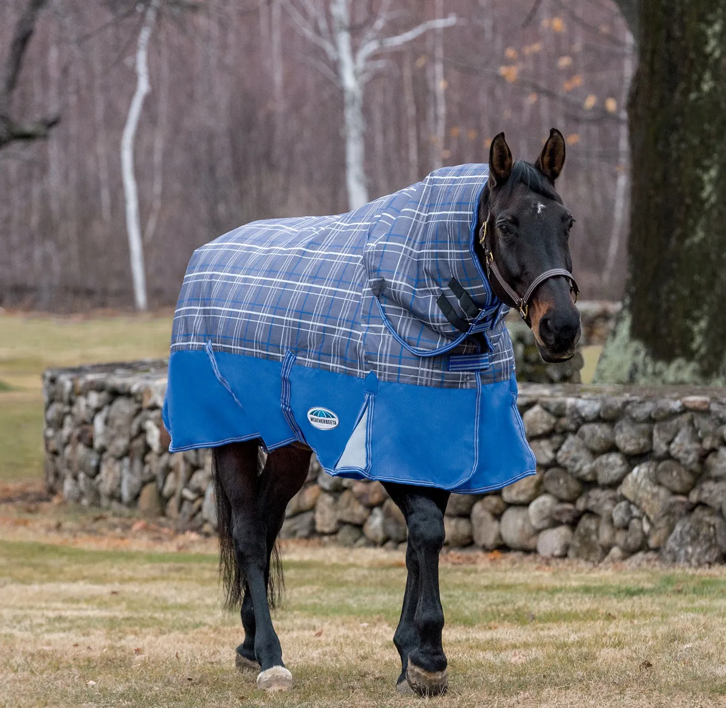 WEATHERBEETA ® ComFiTec™ Free Standard Neck Medium Weight Turnout Blanket