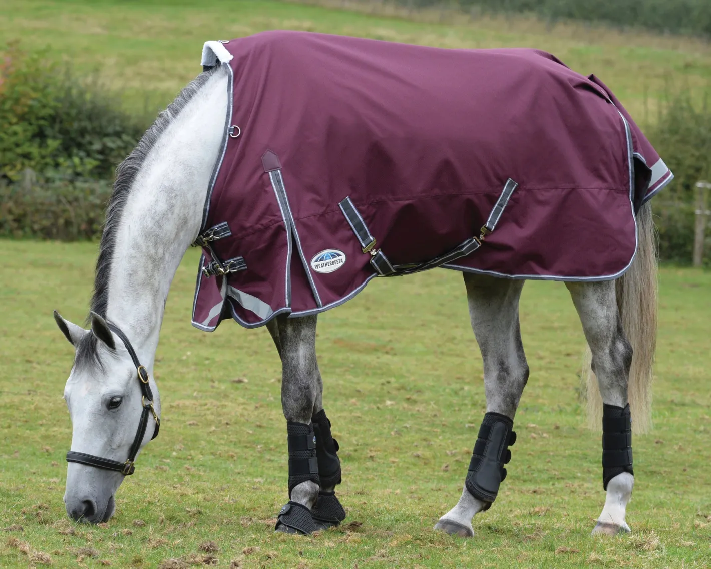 WEATHERBEETA ® ComFiTec™ Plus Dynamic II Standard Neck Medium-Weight Turnout Blanket