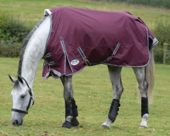 WEATHERBEETA ® ComFiTec™ Plus Dynamic II Standard Neck Lite Turnout