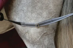 WEATHERBEETA ® ComFiTec™ Plus Dynamic II Standard Neck Lite Turnout