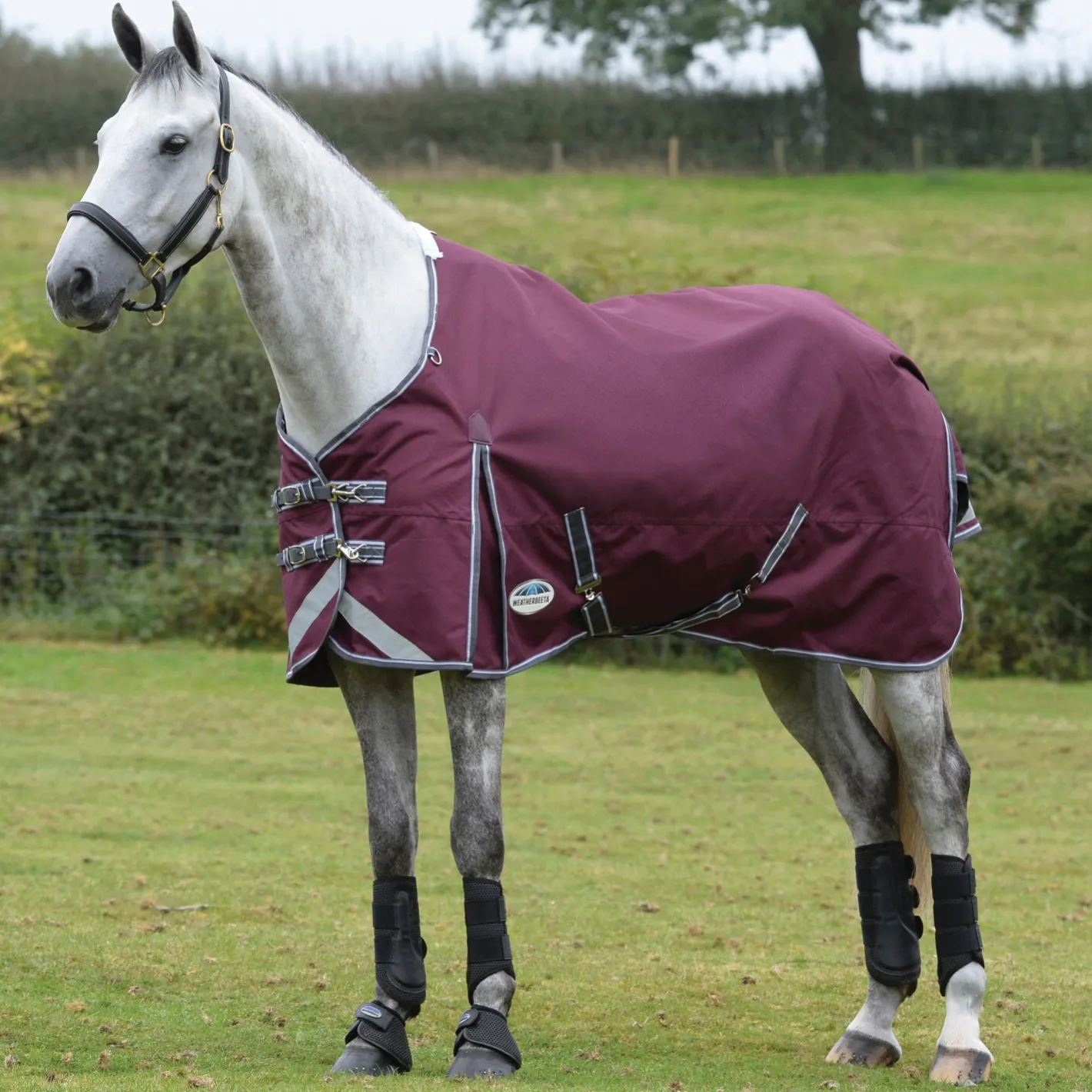 WEATHERBEETA ® ComFiTec™ Plus Dynamic II Standard Neck Lite Turnout