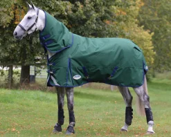 WEATHERBEETA ® ComFiTec™ Plus Dynamic II Detach-A-Neck Heavyweight Turnout Blanket