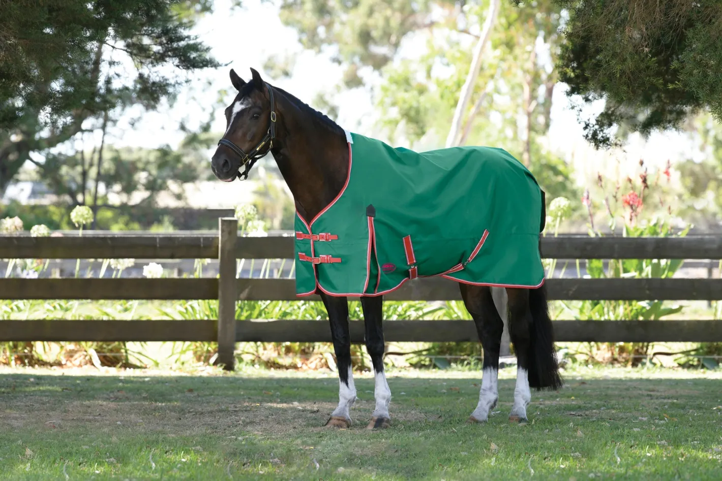 WEATHERBEETA ® ComFiTec™ Prelim Standard Neck Medium-Weight Turnout Blanket