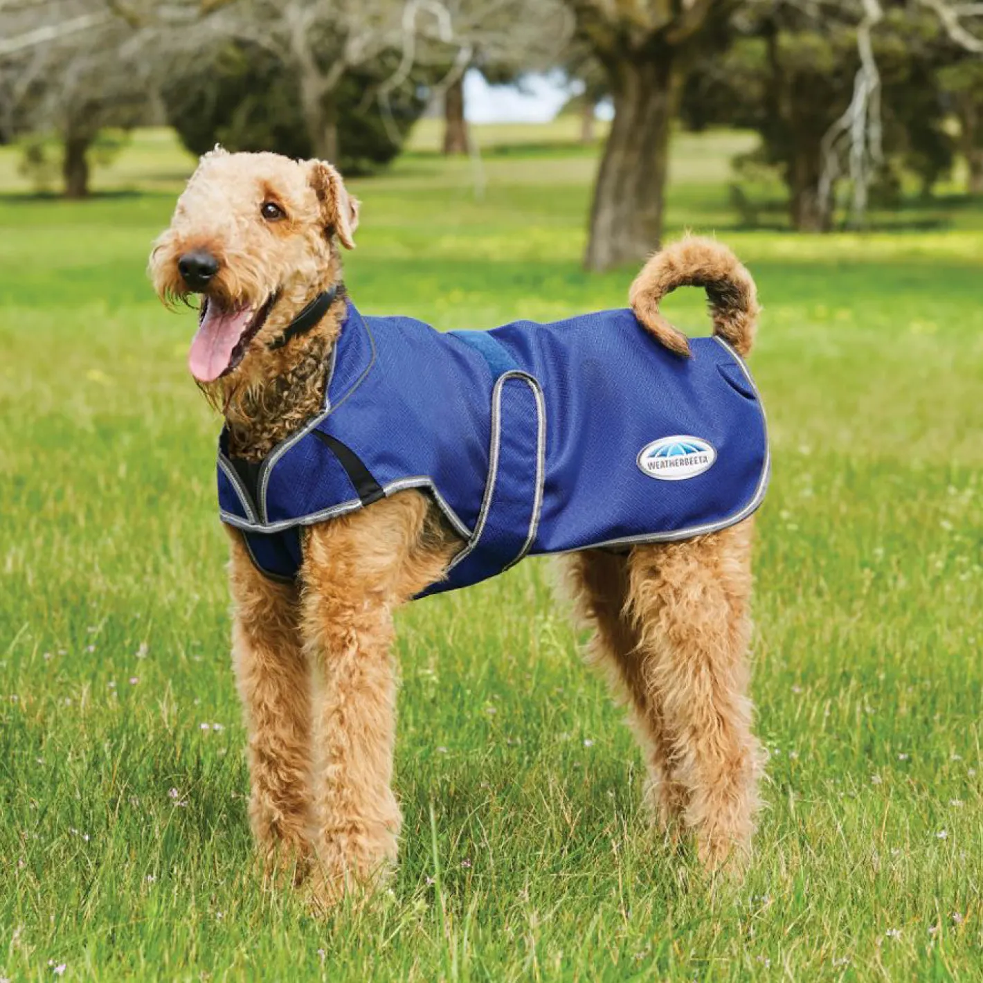 WEATHERBEETA ® ComFiTec™ Premier Free Parka Deluxe Dog Coat