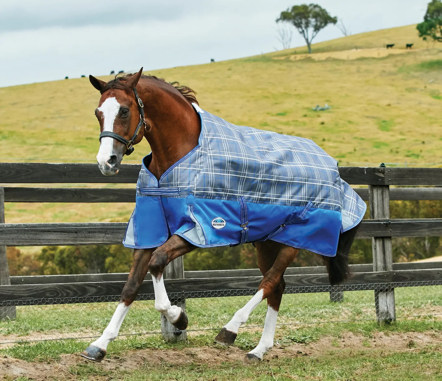WEATHERBEETA ® Free Standard Neck Turnout Sheet