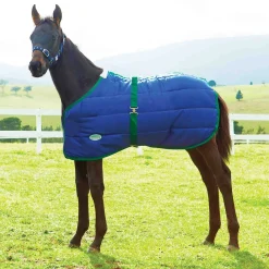 WEATHERBEETA ® Growing Foal 420D Standard Neck Medium-Weight Blanket