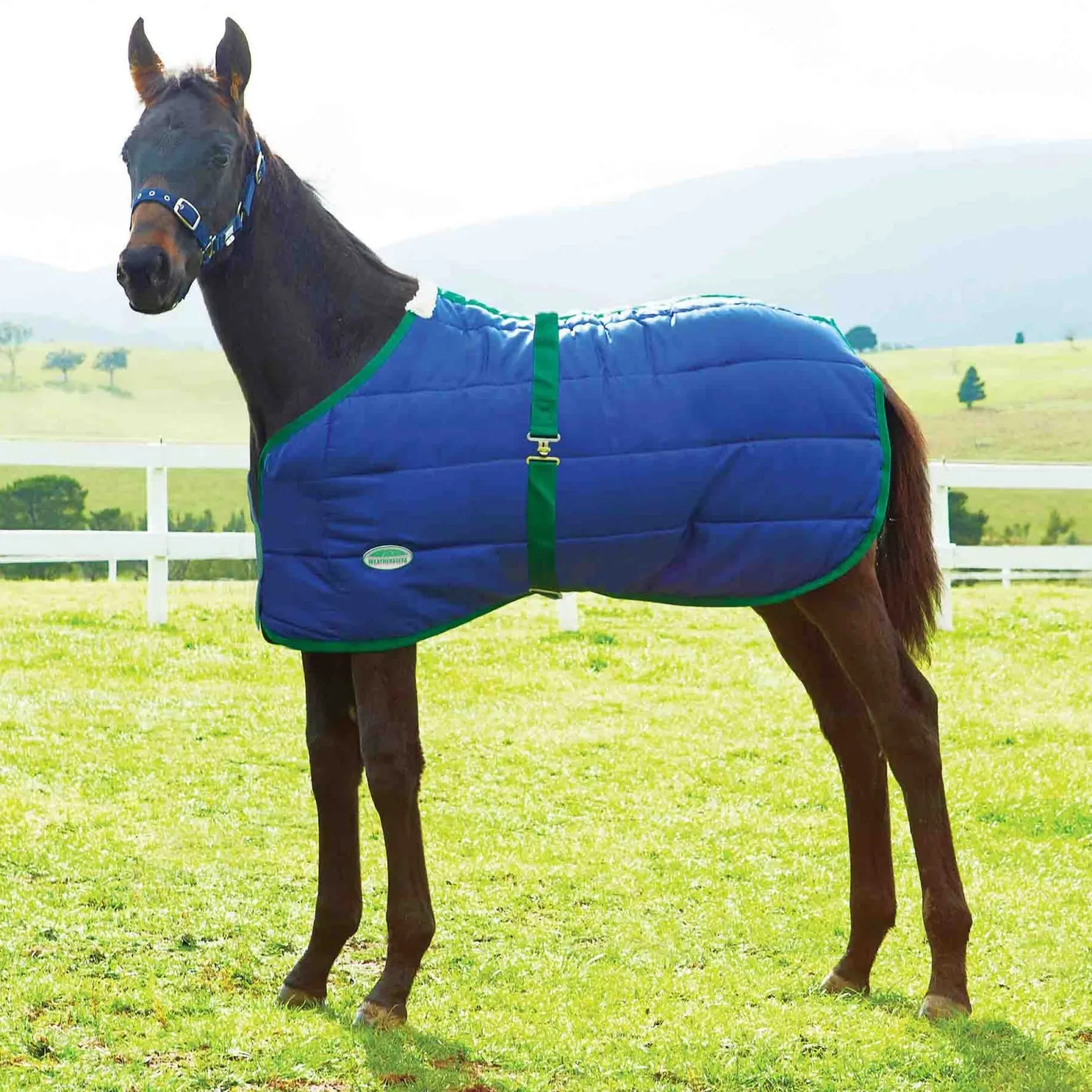 WEATHERBEETA ® Growing Foal 420D Standard Neck Medium-Weight Blanket