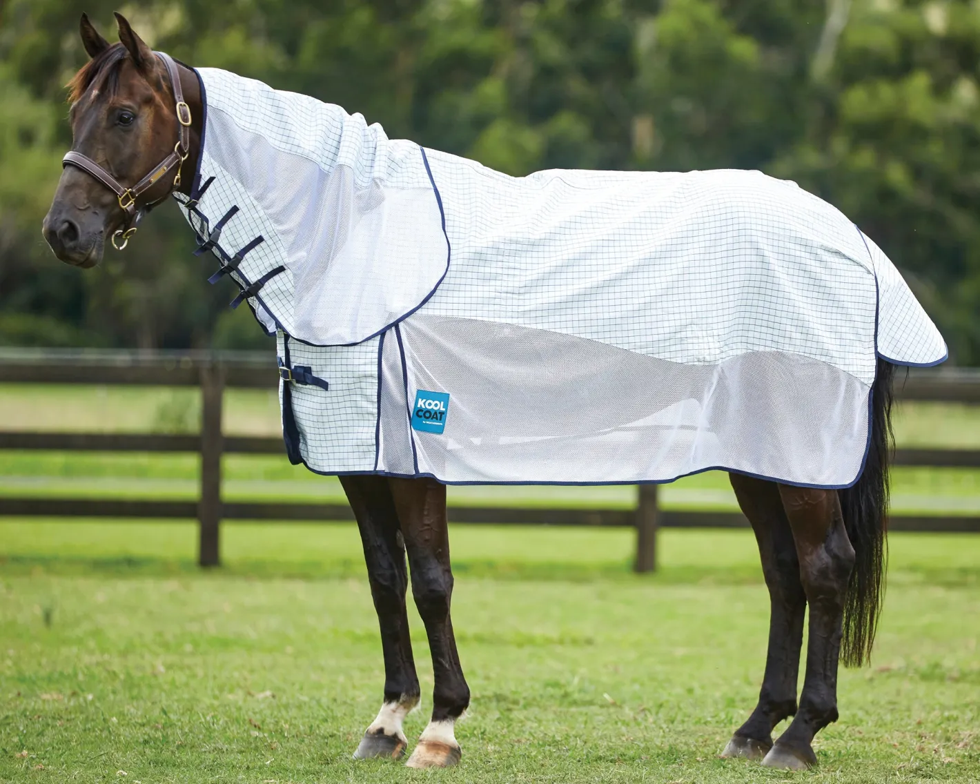 WEATHERBEETA ® Kool Coat Airstream III with Detach-A-Neck & Hidden Surcingle