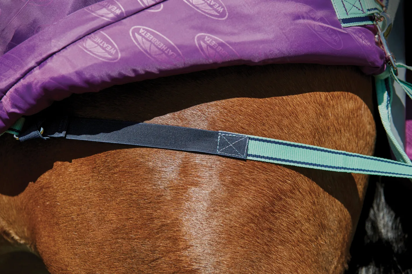 WEATHERBEETA ® Pony ComFiTec™ Premier Free II Detach-A-Neck Medium-Weight Turnout Blanket