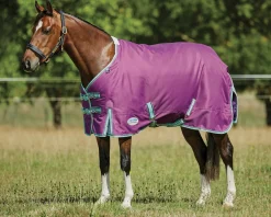 WEATHERBEETA ® Pony ComFiTec™ Premier Free II Standard Neck Lite Turnout