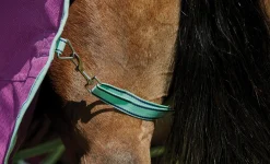 WEATHERBEETA ® Pony ComFiTec™ Premier Free II Standard Neck Lite Turnout