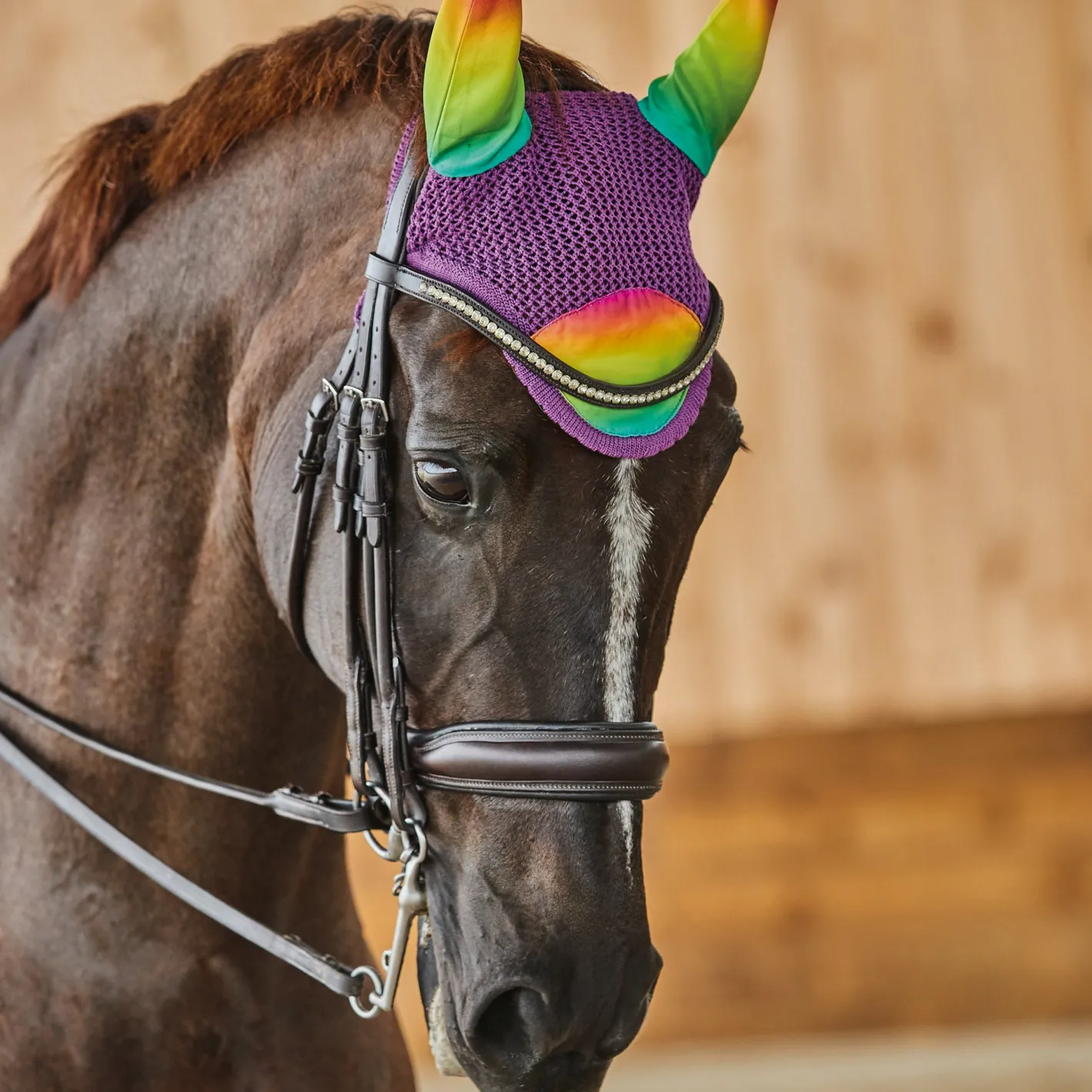 WEATHERBEETA ® Prime Ombré Ear Bonnet