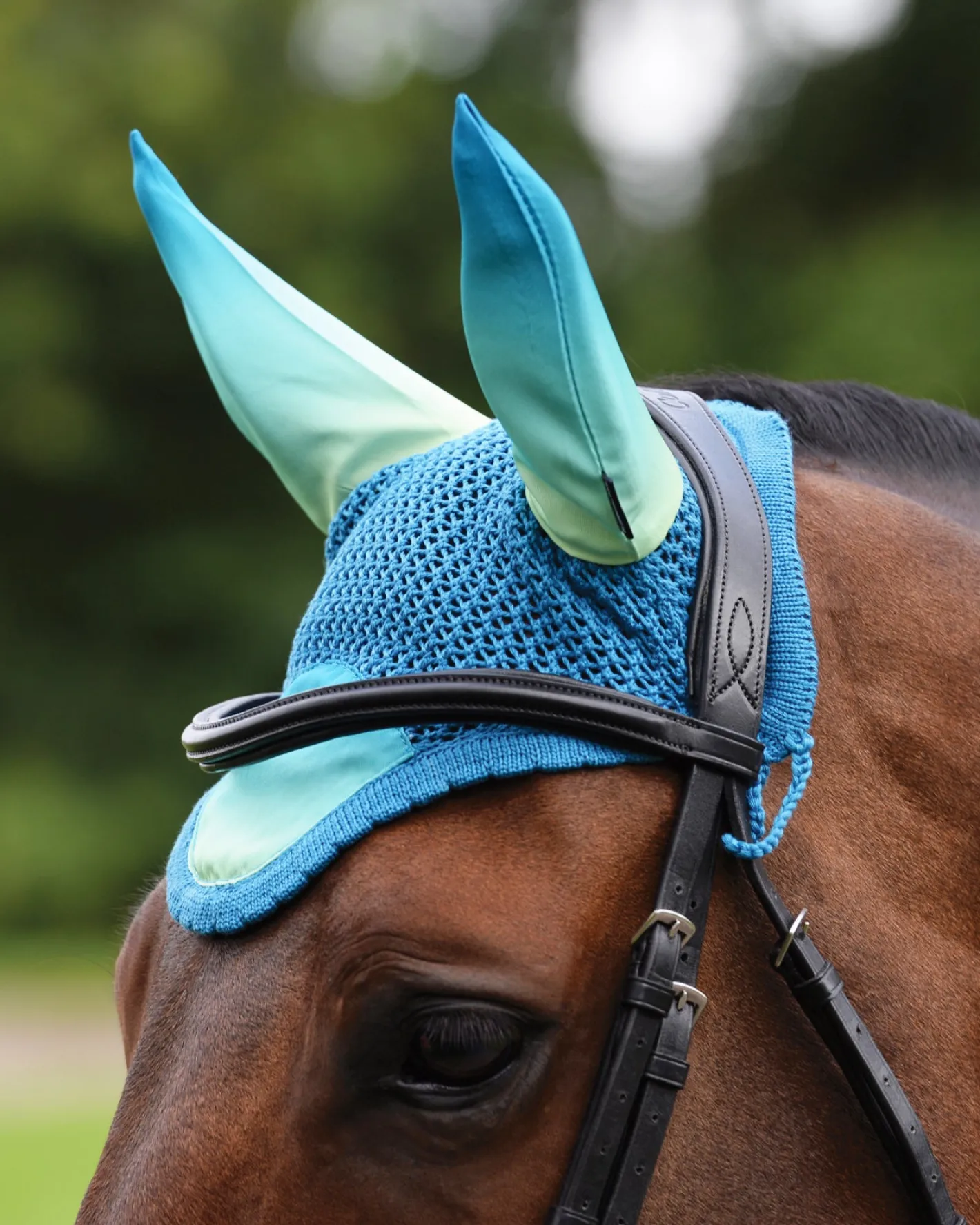 WEATHERBEETA ® Prime Ombré Ear Bonnet