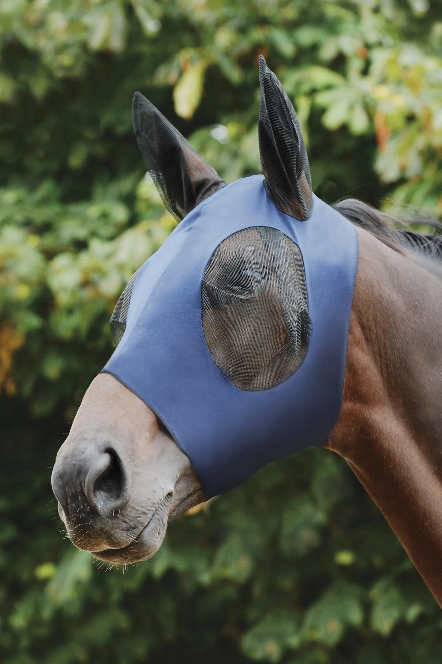 WEATHERBEETA ® Stretch Bug Eye Saver with Ears