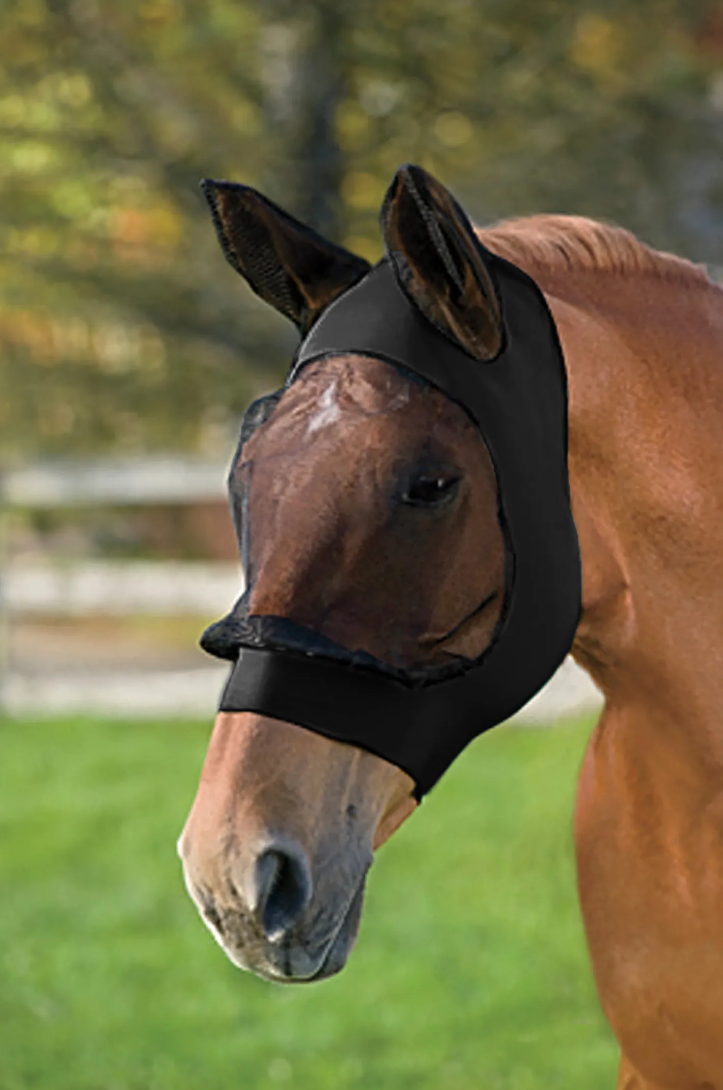 WEATHERBEETA ® Stretch Eye Saver with Ears