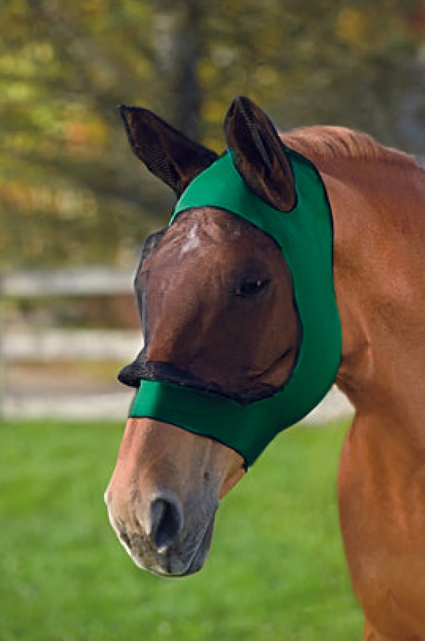 WEATHERBEETA ® Stretch Eye Saver with Ears