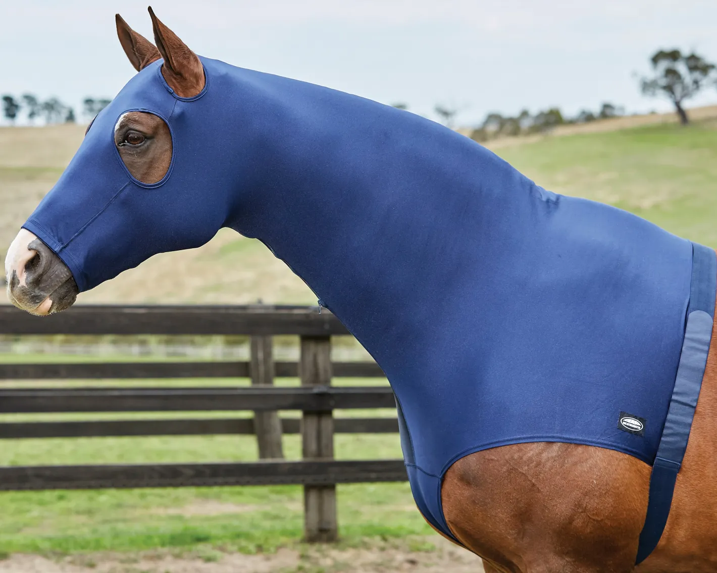 WEATHERBEETA ® Stretch Hood with Zipper