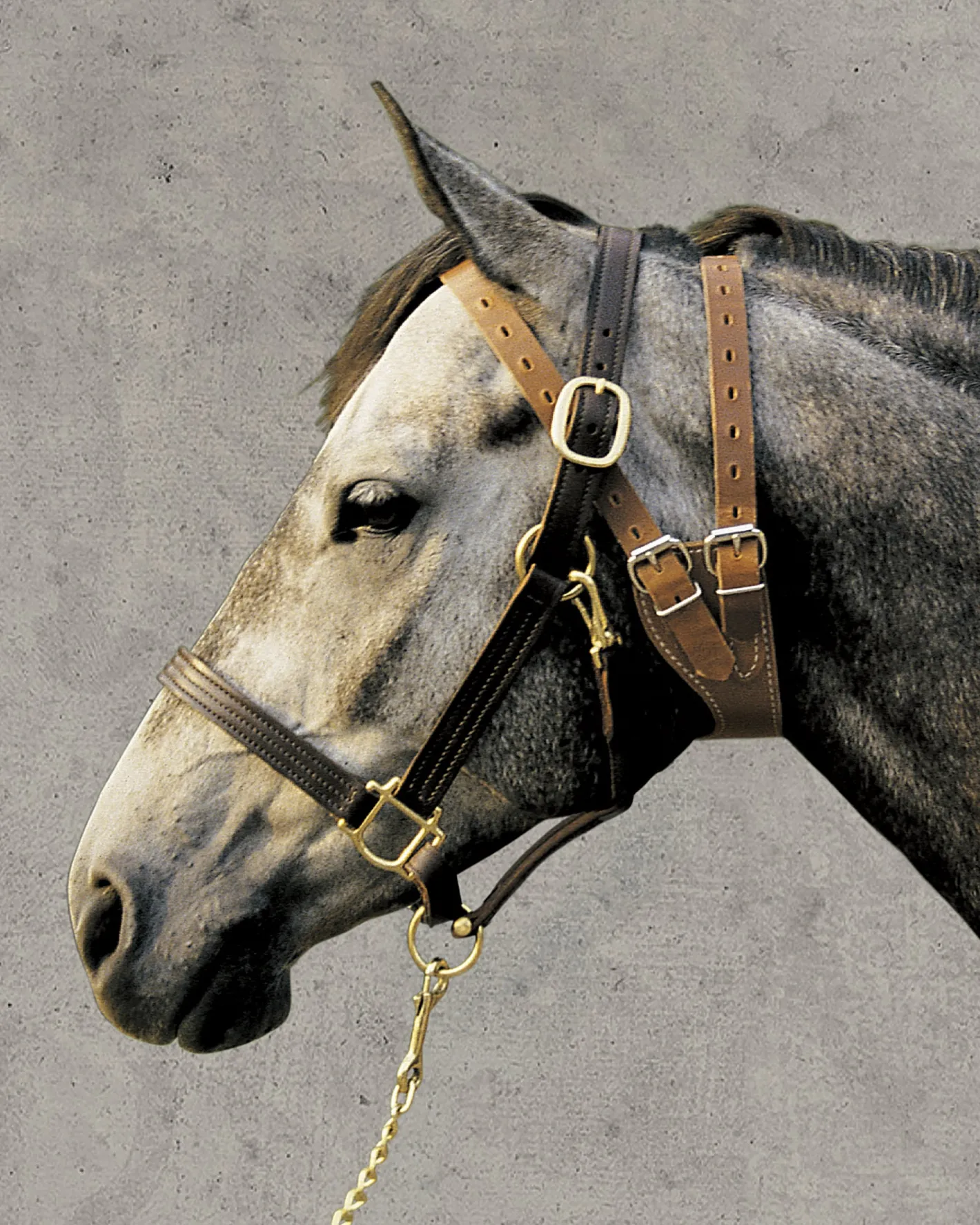 WEAVER LEATHER ® Miracle Collar®