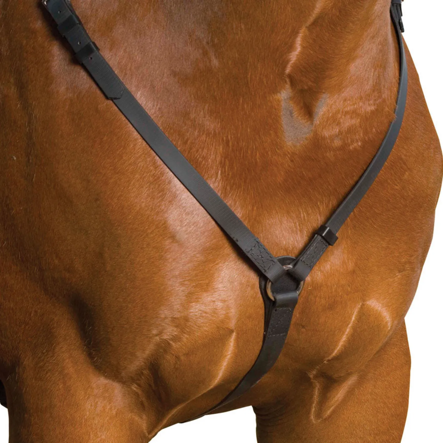 SADDLERY BRANDS INTL Wintec Breastplate
