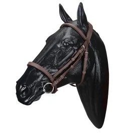 SADDLERY BRANDS INTL Wintec Bridle