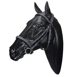 SADDLERY BRANDS INTL Wintec Bridle