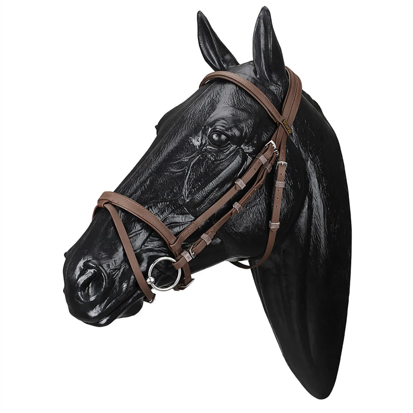 SADDLERY BRANDS INTL Wintec Bridle with Flash