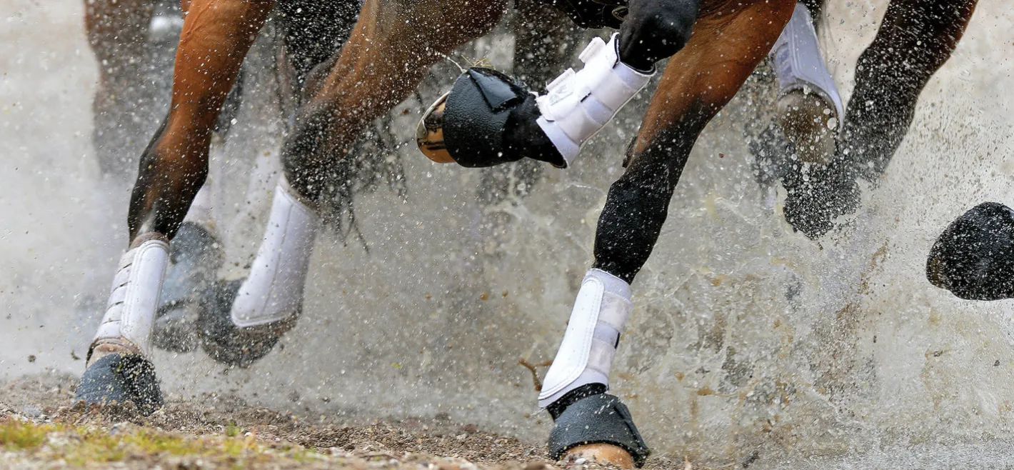 TOKLAT ORIGINALS Woof Wear All-Purpose Boots